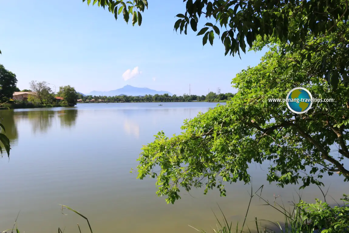 Pendang Lake (Tasik Pendang), Kedah