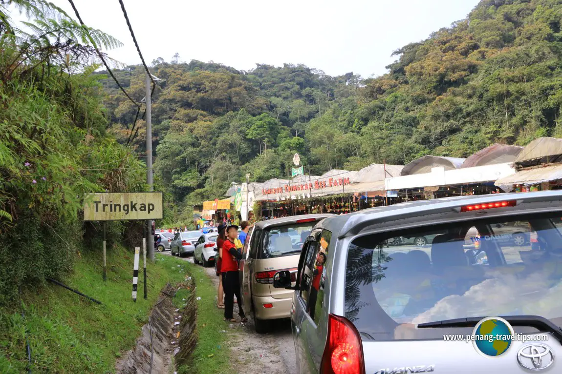 Tringkap Travel Tips, Cameron Highlands